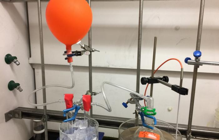 CO2 release by mild heating of the BIG-bicarbonate solid. The released CO2 gas is trapped in the orange balloon, while the released water vapors are trapped by condensation in the ice-cooled U-shaped tube. Credit: Neil J. Williams and Erick Holguin.