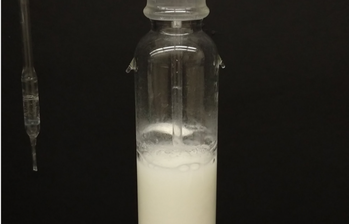 Bicarbonate precipitate resulting from CO2 bubbling through an aqueous solution of the bis-iminoguanidine (BIG) sorbent. Photo credit: Neil J. Williams.