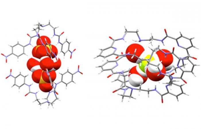  Encapsulation of [(SO4 )2 (H2 O)3 ]4–  (left) and F(H2 O)4–  (right) clusters by molecular receptors.   Caption has sub and superscripts.