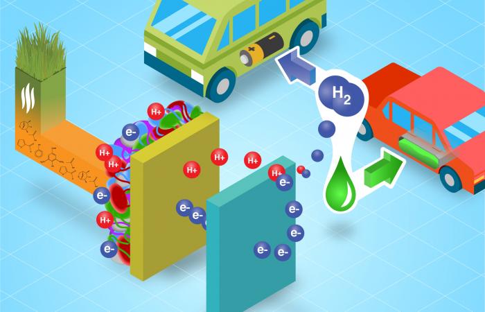 A microbial electrolysis process developed at Oak Ridge National Laboratory recycles wastewater from biofuel production into hydrogen