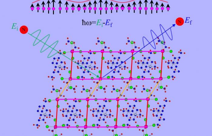 ORNL_Higgs_amp_mode