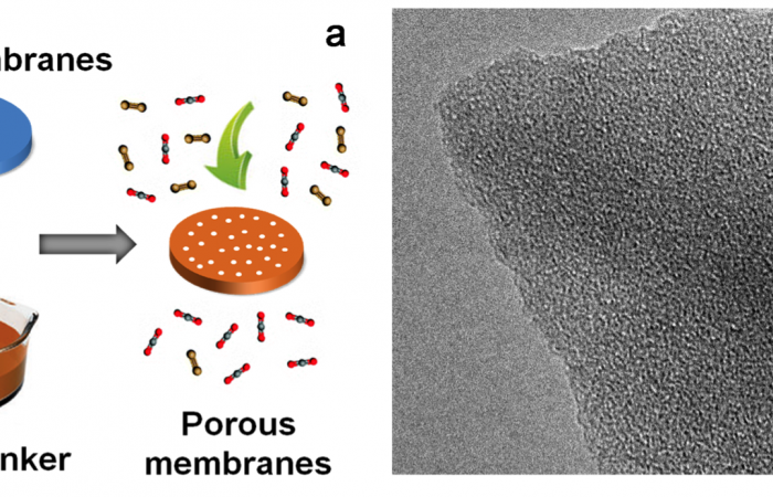 Schematic illustration of the templated crosslinking preparation procedure (a) and high-resolution TEM image (b) for the porous polymeric membranes