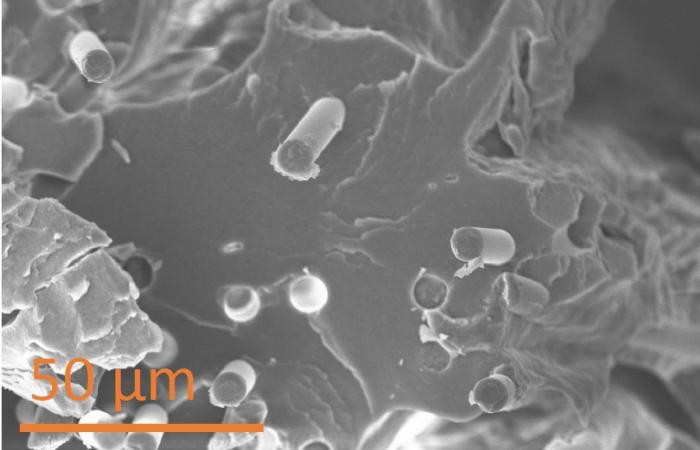 The micrograph shows a cross-section of the weld area between two 3D-printed layers of a plant-based composite material developed by Oak Ridge National Laboratory. Credit: Christopher Bowland/Oak Ridge National Laboratory, U.S. Dept. of Energy