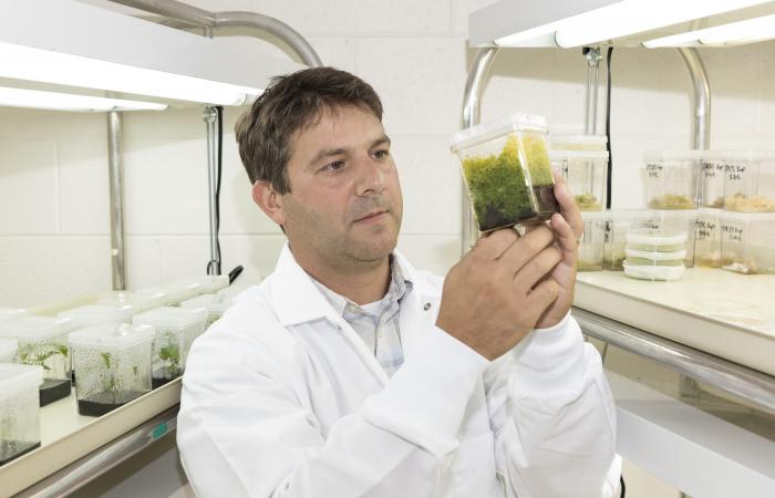 ORNL Image