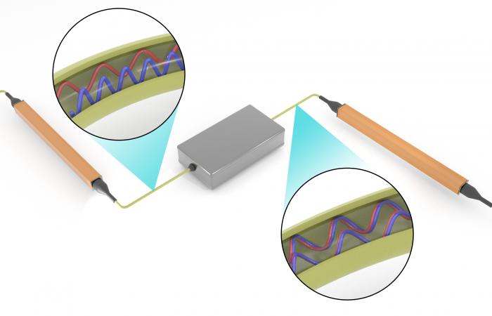 The researchers’ innovative experimental setup involved operating on photons contained within a single fiber-optic cable. 