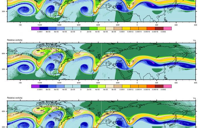 Vorticity field Vorticity field
