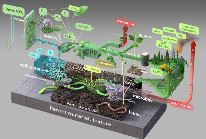 Illustration of FACE MDS Ecosystem
