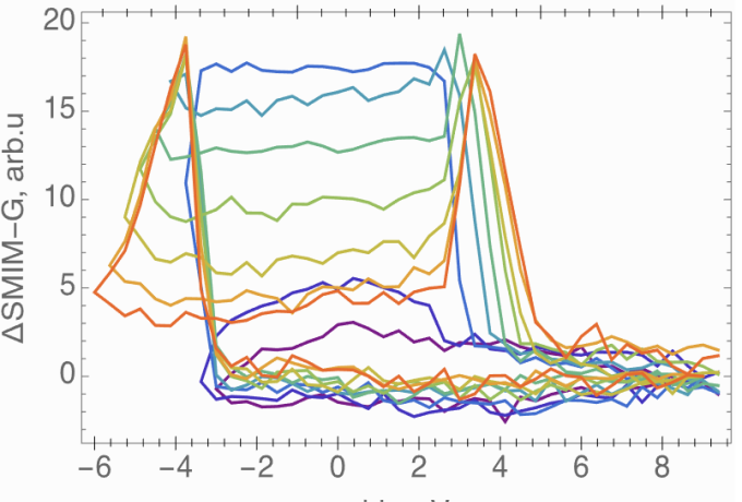 multiscale dynamics model