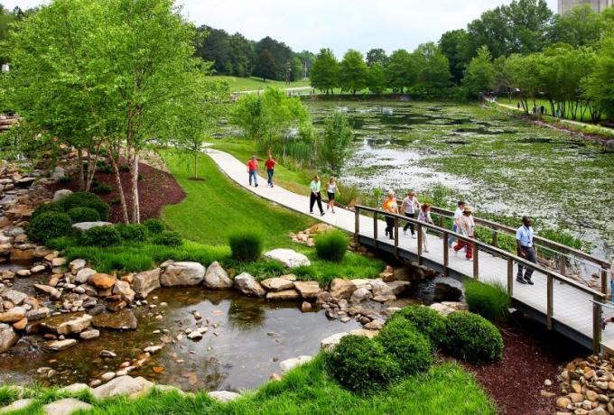 Image of ORNL pond