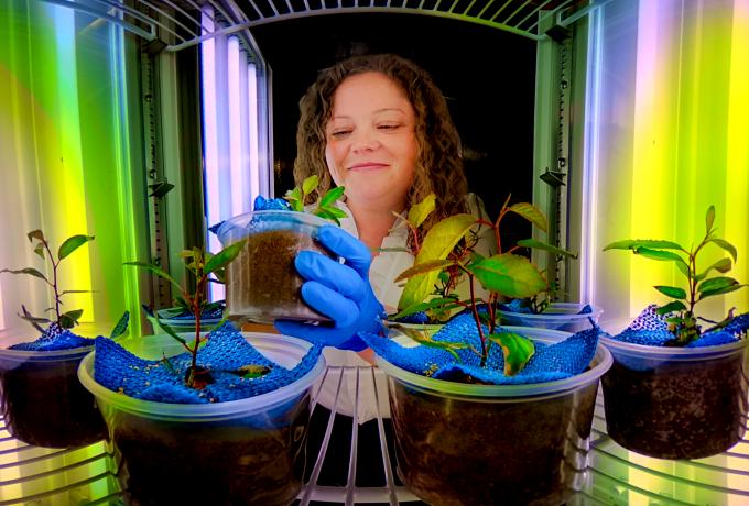 Alyssa Carrell pictured in Advanced Plant Phenotyping Laboratory