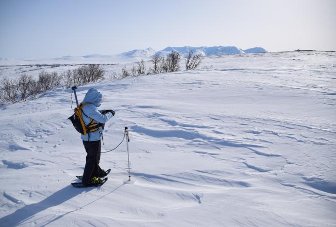 A researcher measures snow depth at the Kougarok field site.