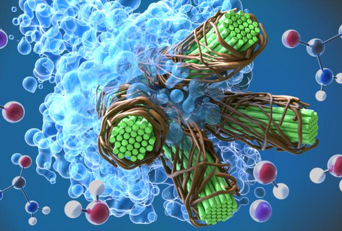 ORNL scientists used molecular dynamics simulations, exascale computing, lab testing and analysis to accelerate the development of an energy-saving method to produce nanocellulosic fibers. 