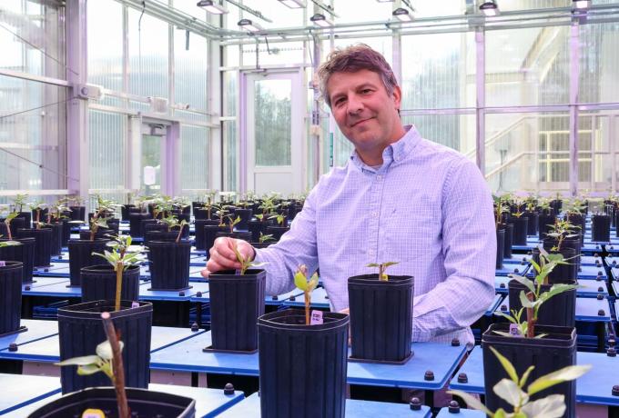 Researcher is sitting in bio lab surrounded with plants