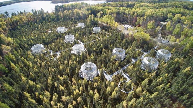 A team of scientists found that microbes at the SPRUCE experiment in the Minnesota peatlands are increasing production of methane under warming conditions. Credit: ORNL, U.S. Dept. of Energy