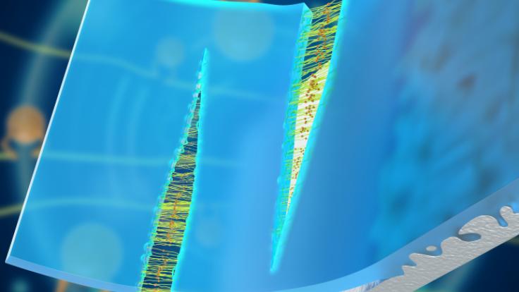 ORNL researchers produced self-healable and highly adhesive elastomers, proving they self-repair in ambient conditions and underwater. This project garnered a 2021 R&D 100 Award. Credit: ORNL, U.S. Dept. of Energy