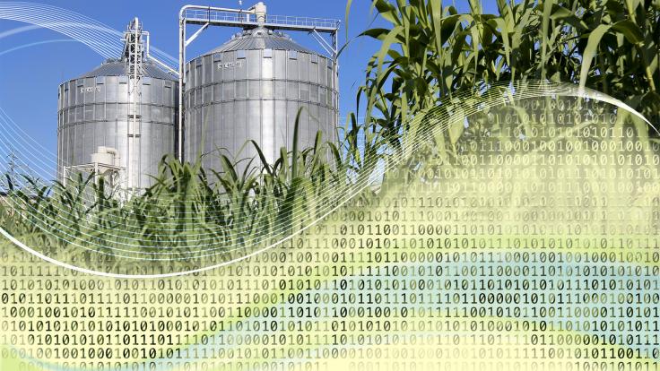 ORNL is making underused or inaccessible bioenergy data available to accelerate innovation for the bioeconomy. Credit: Andy Sproles/ORNL, U.S. Dept. of Energy