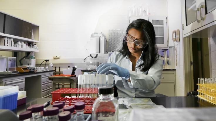 Human Health Risk and Environmental Analysis