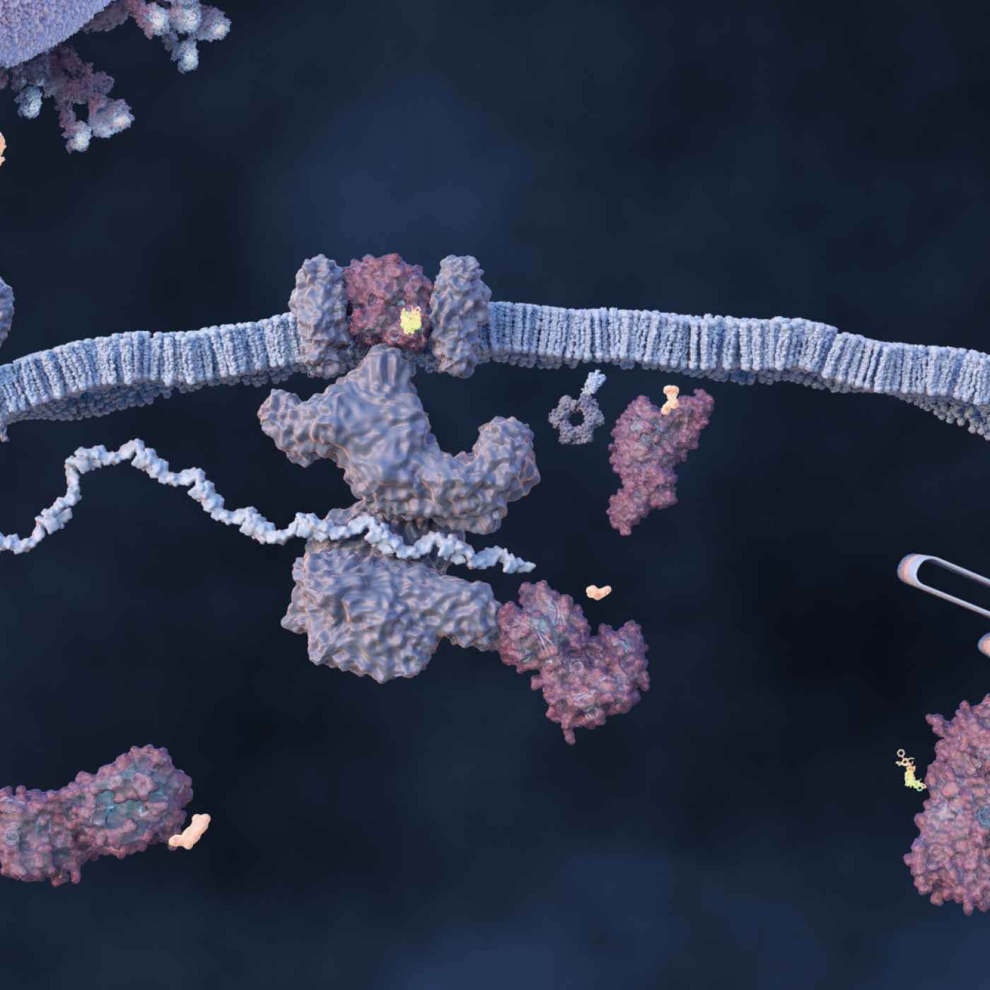 A multi-national laboratory team is using artificial intelligence and computational screening techniques – in combination with experimental validation – to identify and design five promising drug therapy approaches to target the SARS-CoV-2 virus. Credit: Michelle Lehman/ORNL, U.S. Dept. of Energy