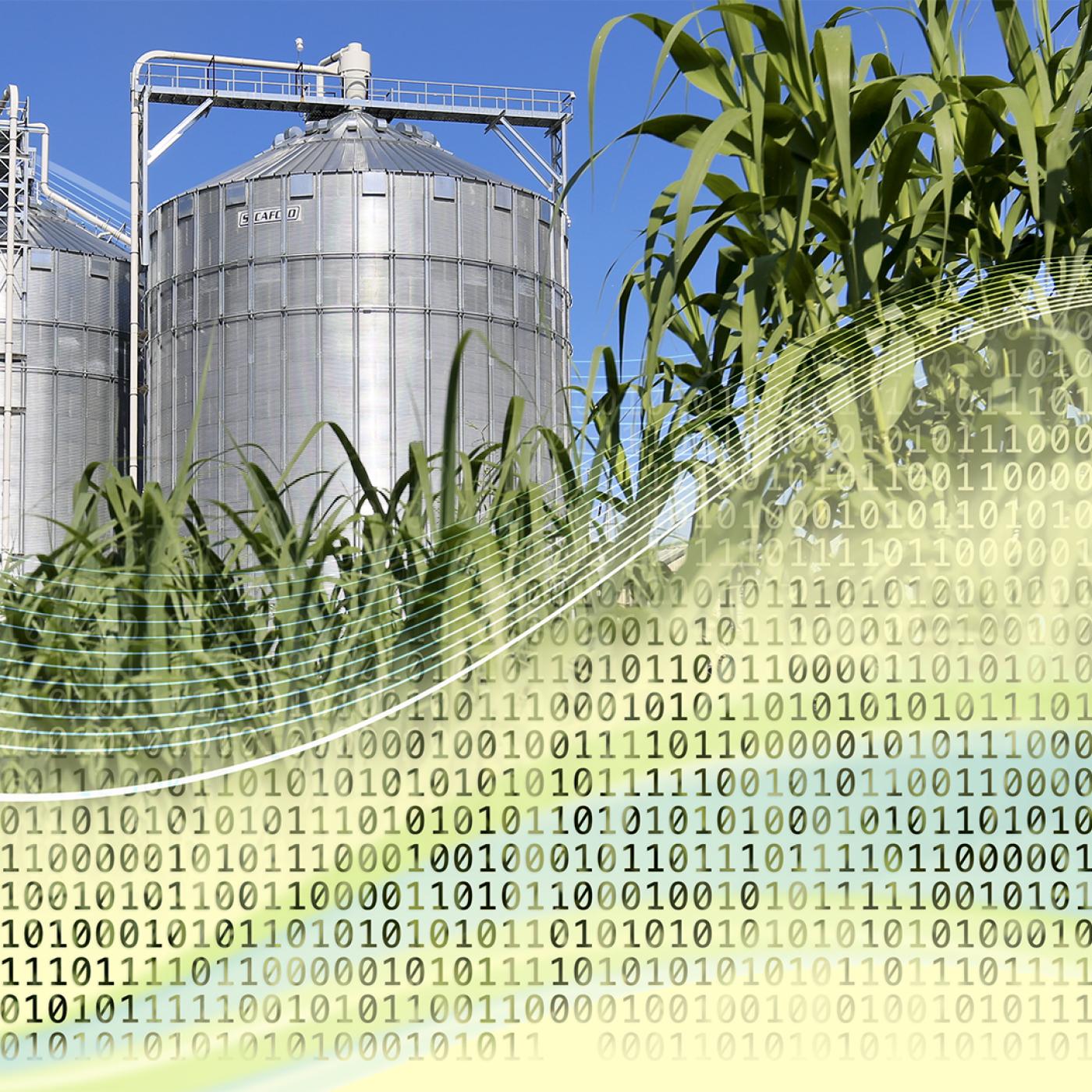 ORNL is making underused or inaccessible bioenergy data available to accelerate innovation for the bioeconomy. Credit: Andy Sproles/ORNL, U.S. Dept. of Energy