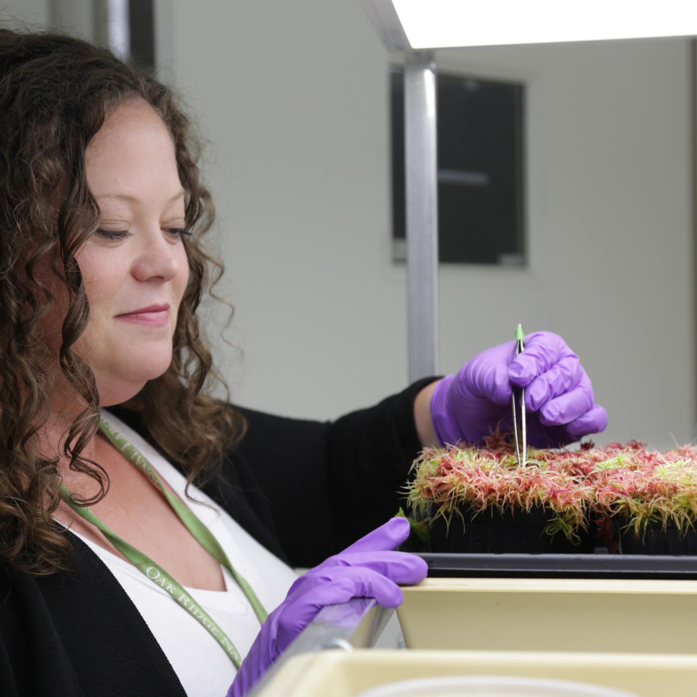 Microbes enhance resilience of carbon-rich peatlands to warming