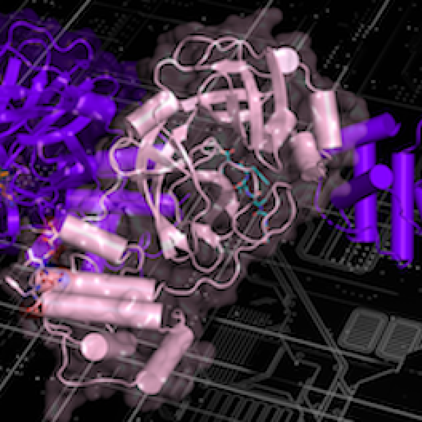 Lab experiments support COVID-19 bradykinin storm theory