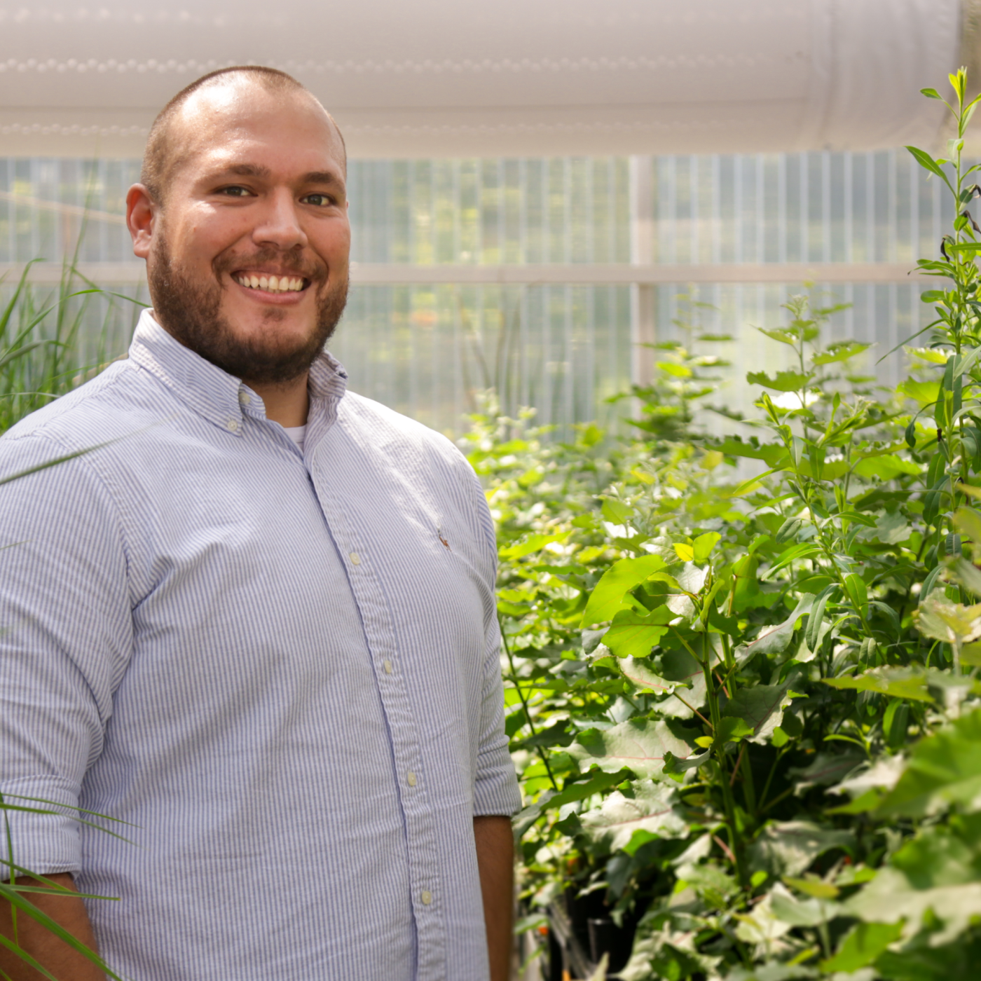 Tomás Rush: Decoding the secret language of plants and fungi