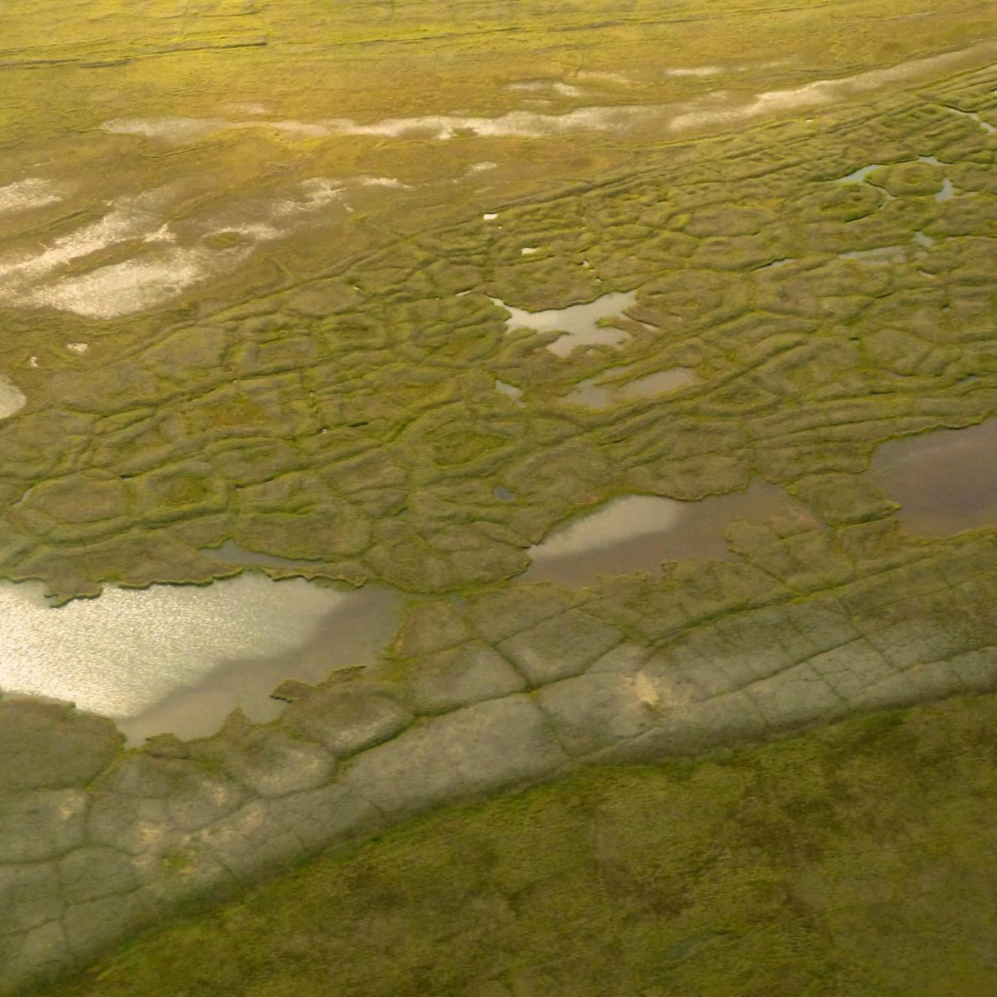 An illustration of the long-term evolution likely to occur as rising temperatures and subsequent thawing of frozen Arctic soils affects the northern Alaska tundra, as predicted by a high-performance model created by Oak Ridge National Laboratory. Credit: Adam Malin and Ethan Coon, ORNL/U.S. Dept. of Energy