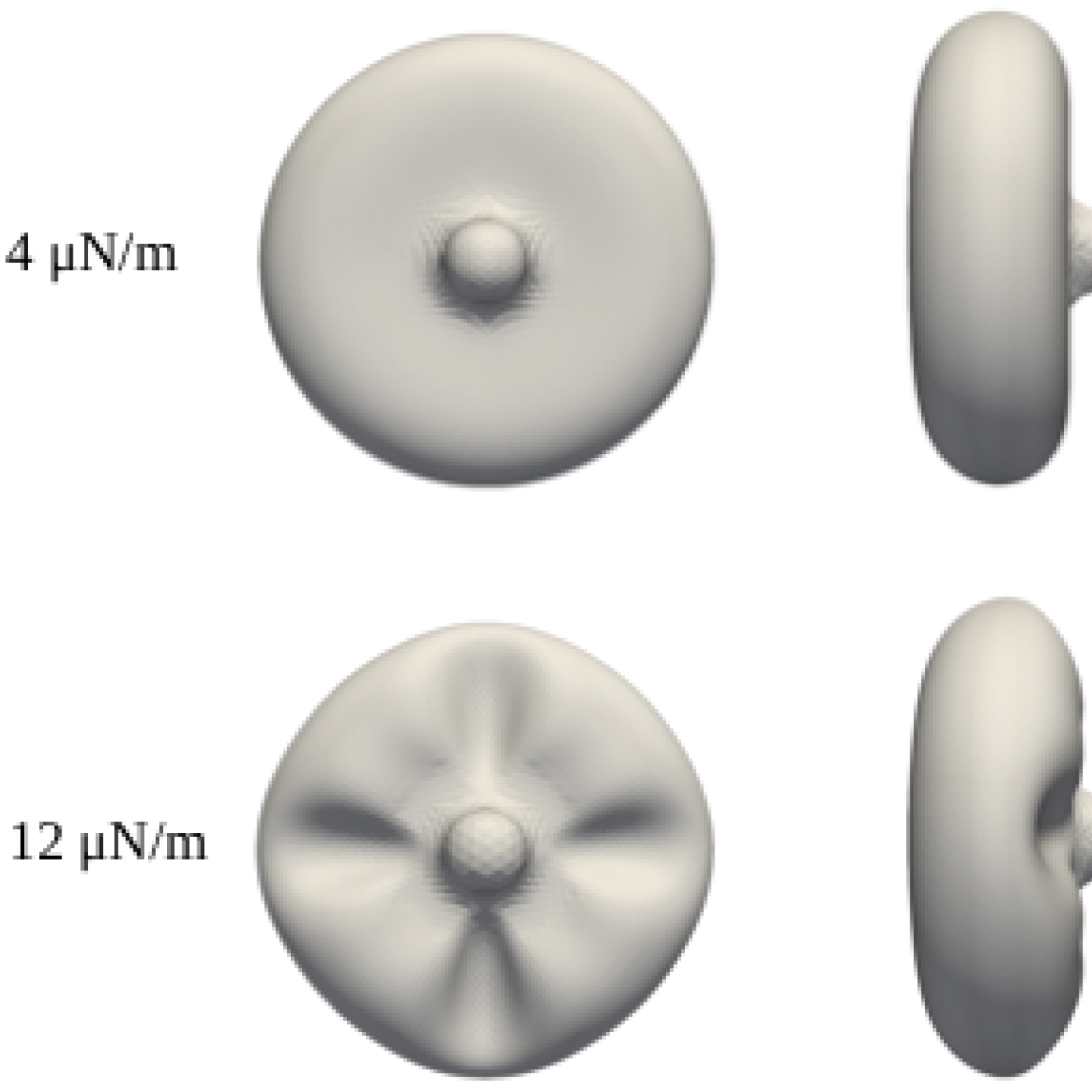 Effect of Constitutive Law on the Response of the Erythrocyte Membrane to Large Strains
