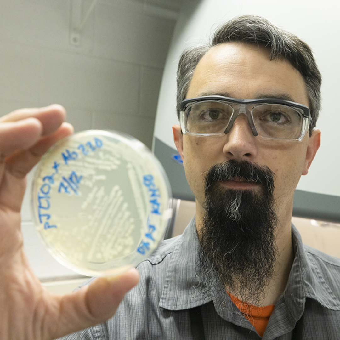 ORNL’s Adam Guss began adapting the SAGE gene editing tool to modify microbes in graduate school. Today, SAGE is rapidly accelerating the design of custom microbes for a variety of applications. Credit: Carlos Jones/ORNL, U.S. Dept. of Energy