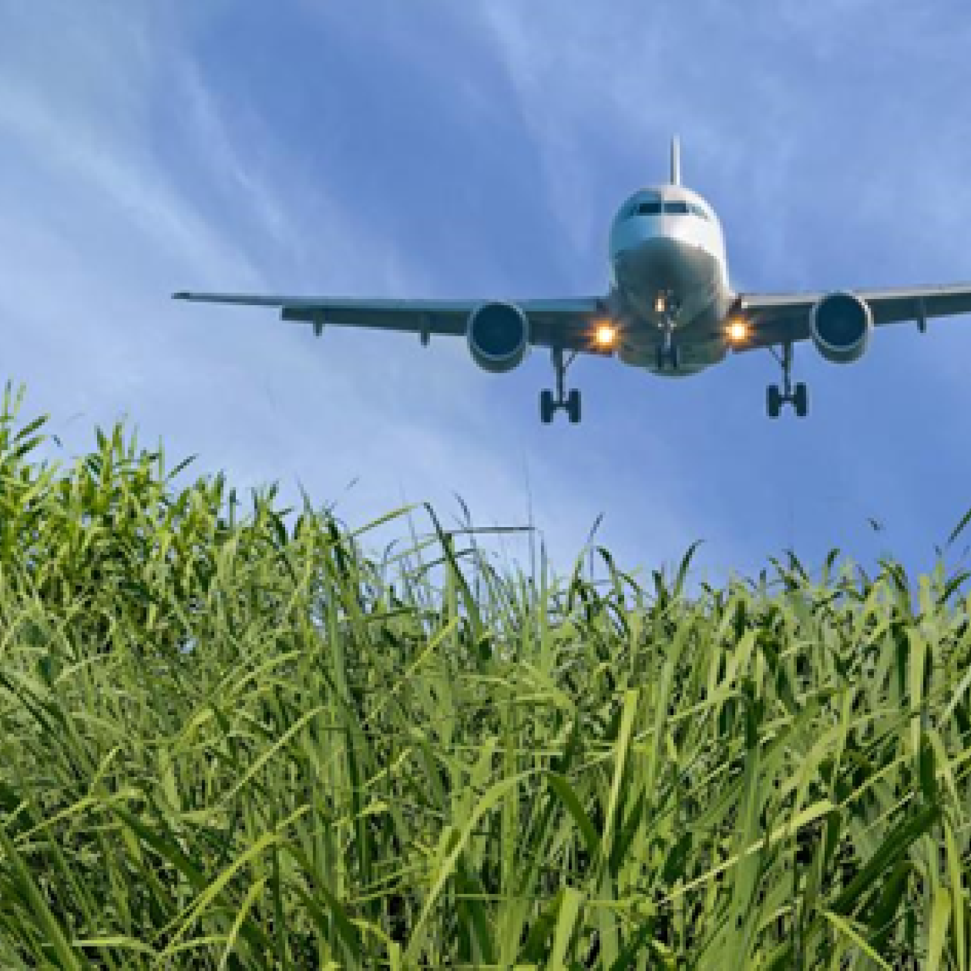 DOE funds next-generation Center for Bioenergy Innovation to advance renewable jet fuel