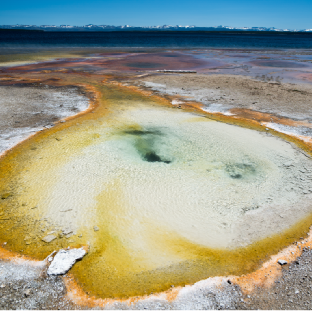 Scientists conducted microbial DNA sampling at a Yellowstone National Park hot spring for a study sponsored by DOE’s Biological and Environmental Research program, the National Science Foundation and NASA. Credit: Mircea Podar/ORNL, U.S. Dept. of Energy 