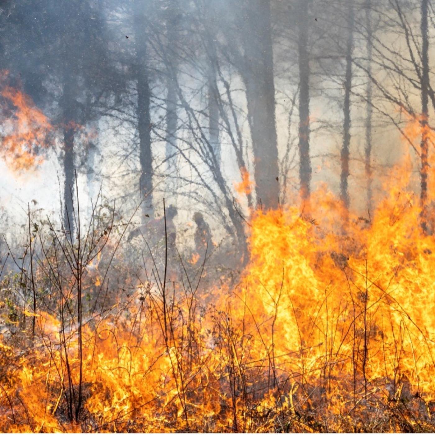 Researchers used the open-source Community Earth System Model to simulate the effects that extreme climatic conditions have on processes like land carbon storage. Credit: Carlos Jones/ORNL, U.S. Dept. of Energy