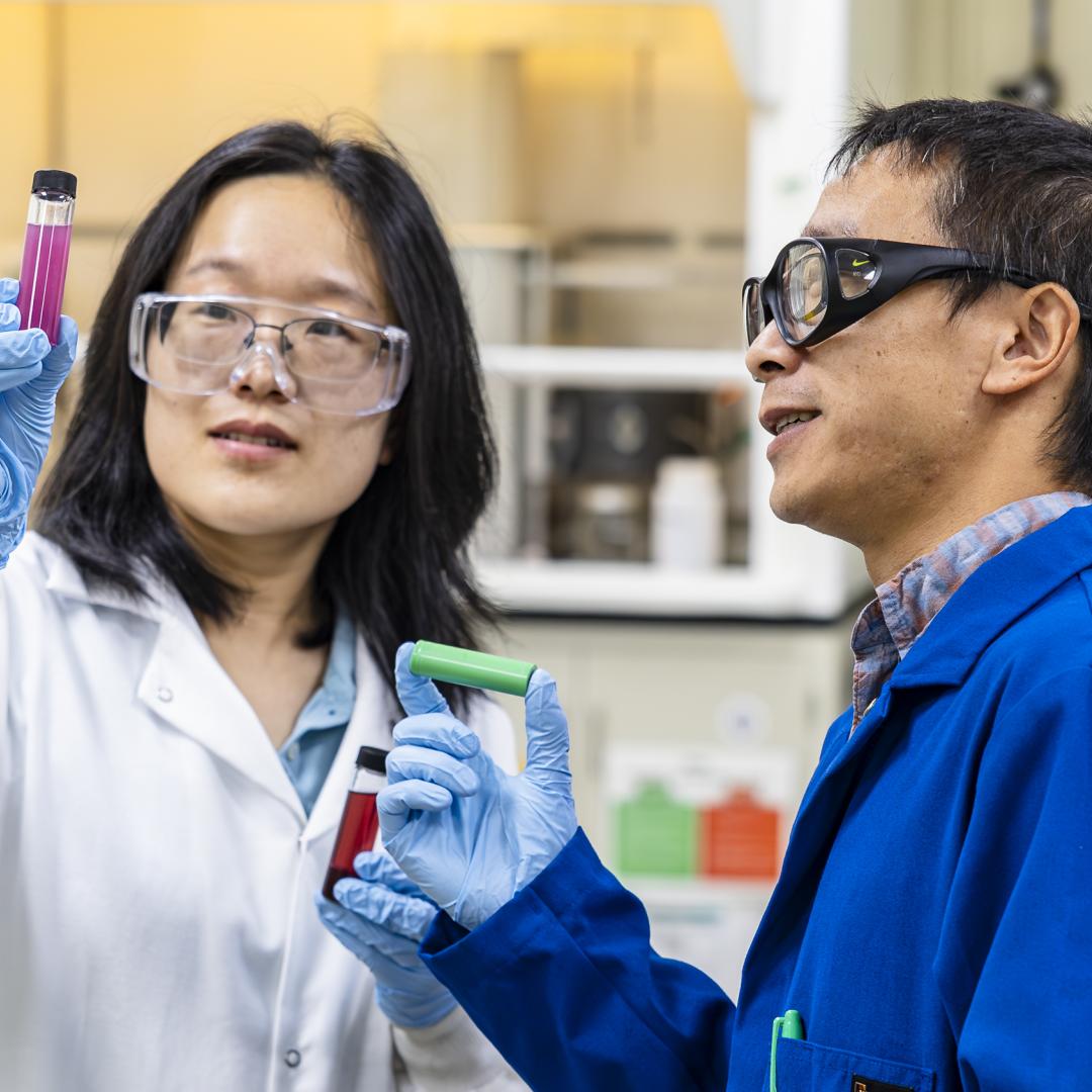 ORNL researchers Lu Yu and Yaocai Bai examine vials that contain a chemical solution that causes the cobalt and lithium to separate from a spent battery, followed by a second stage when cobalt precipitates in the bottom. Credit: Carlos Jones/ORNL, U.S. Dept. of Energy