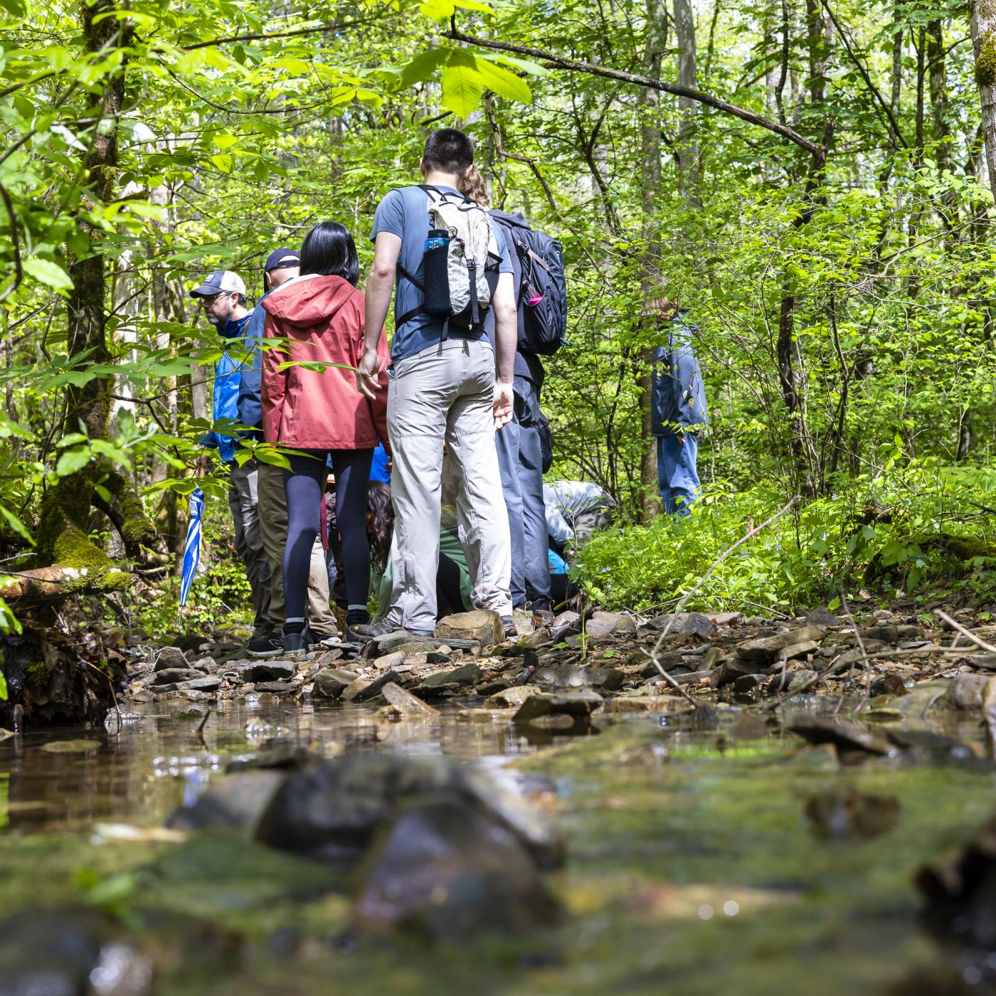 A group gathers during the spring Oak Ridge Reservation nature walk to explore the rich flora and fauna diversity of the reservation. Credit: Carlos Jones/ORNL, U.S. Dept. of Energy