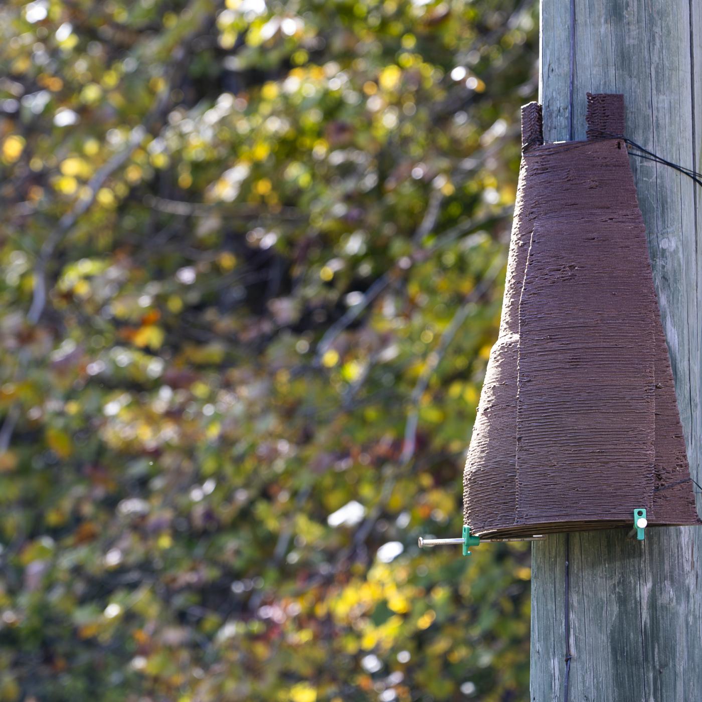 Pictured is a 3D printed roosting structure for bats. 