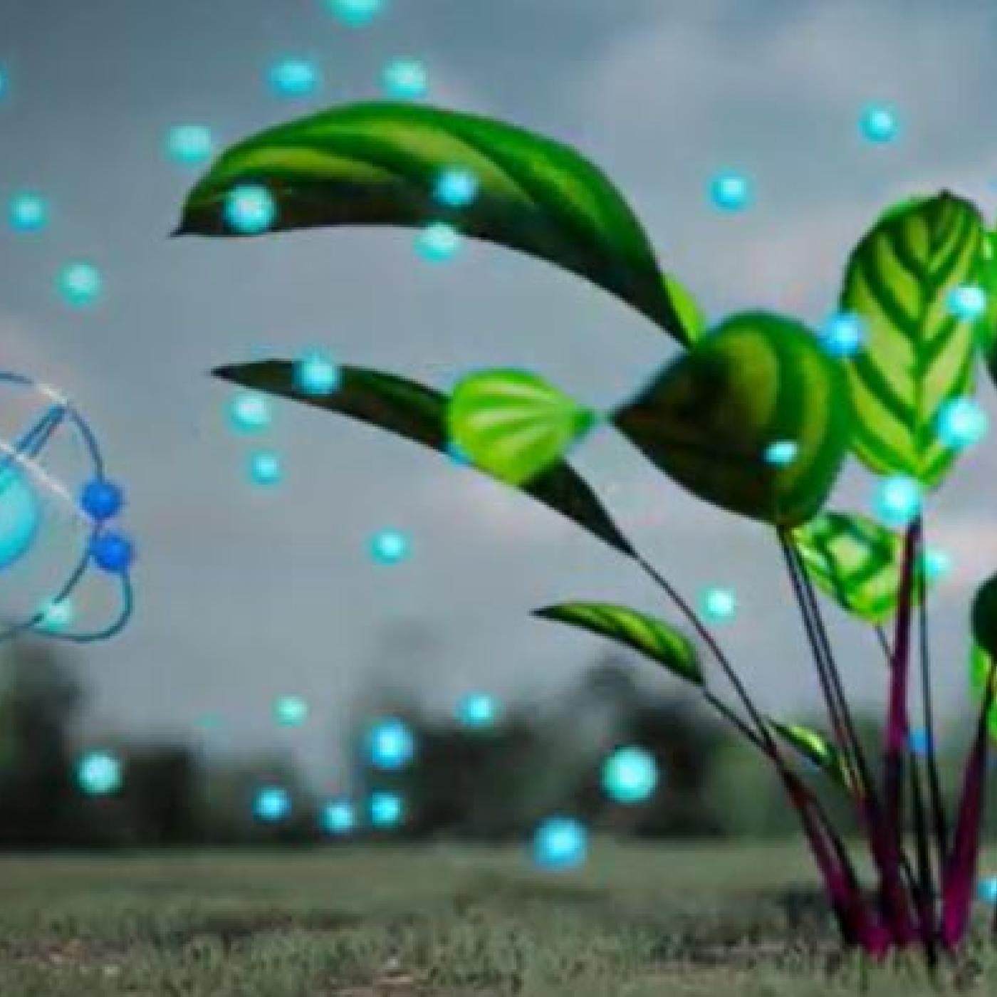 Animated graphic with a plant on the right, blue sphere on the left and blue glowing dots scattered throughout. 
