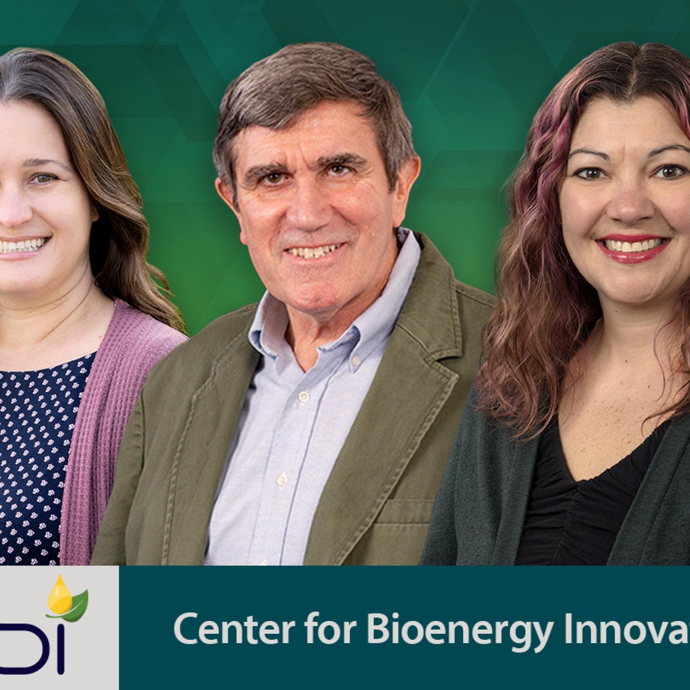 Three profile photos of ORNL researchers are cut out into one image representing three new members of leadership for the Center for Bioenergy Innovation