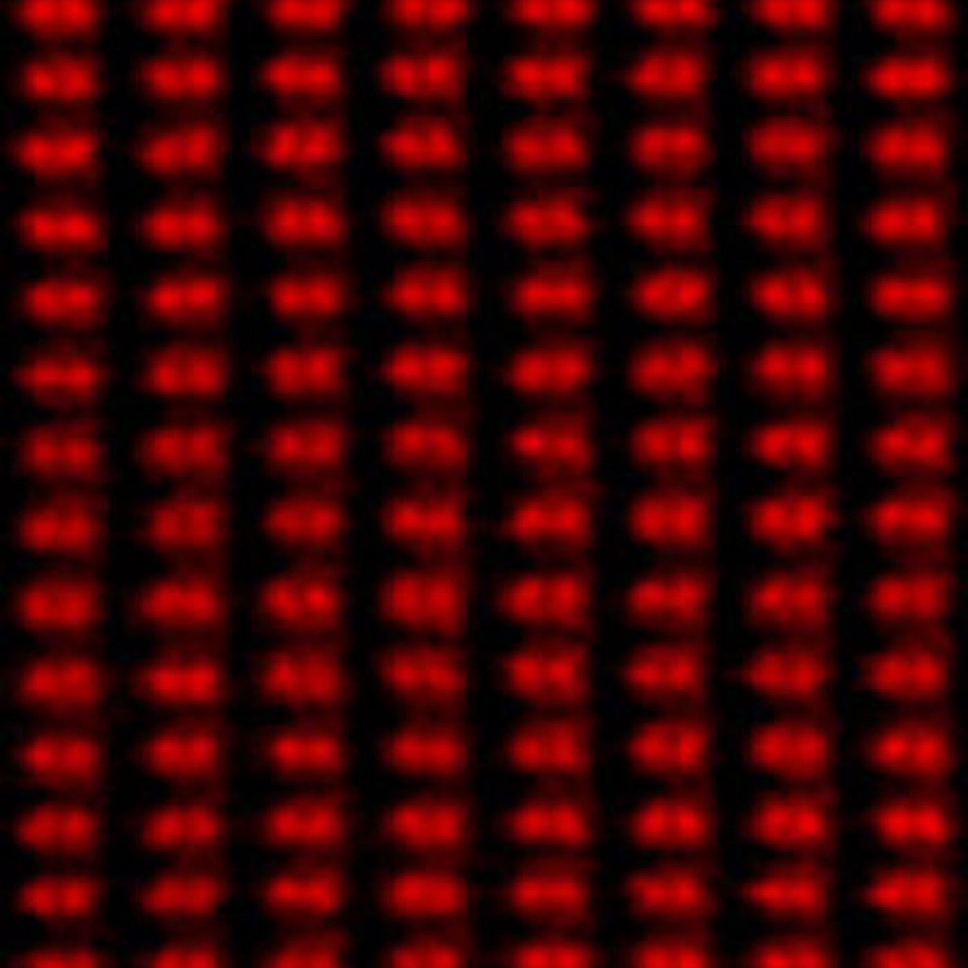 ORNL Image