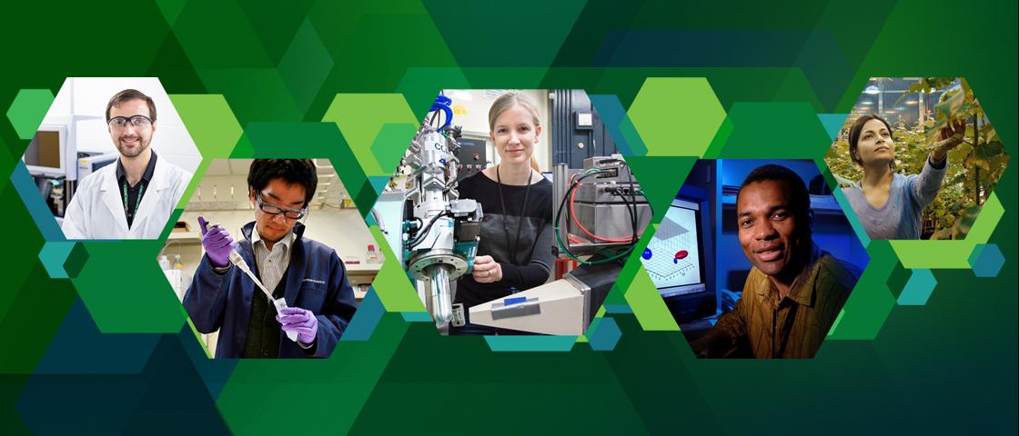 Postdoc collage