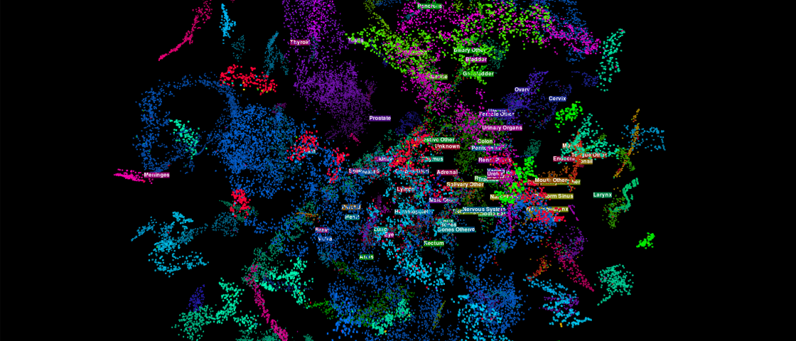 The image visualizes how the team’s multitask convolutional neural network classifies primary cancer sites. Image credit: Hong-Jun Yoon/ORNL