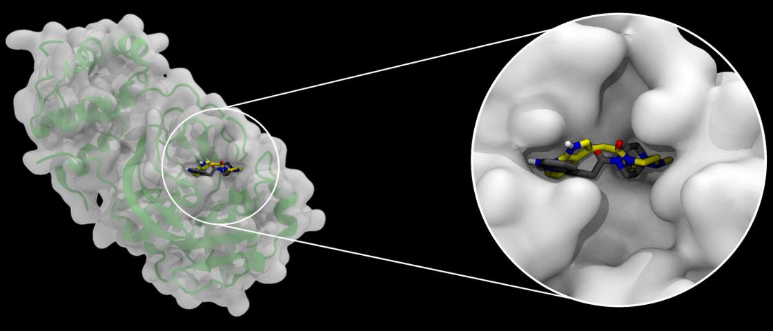 Multi-Institutional Team Earns Gordon Bell Special Prize Finalist Nomination for Rapid COVID-19 Molecular Docking Simulations
