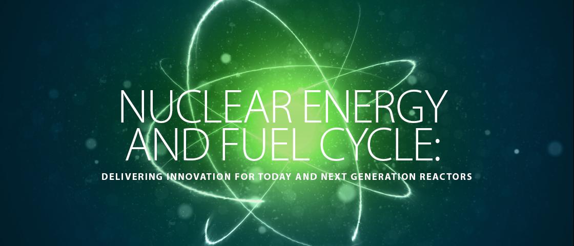 Nuclear Energy and Fuel Cycle Division