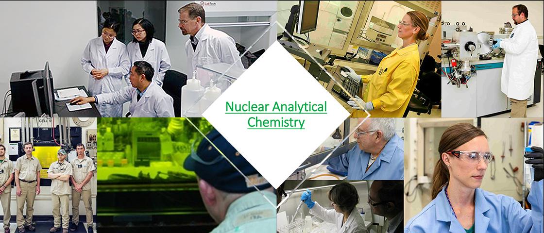 Nuclear Analytical Chemistry 