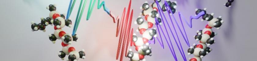 molecules