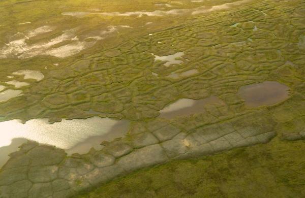 Aerial view of tundra polygons