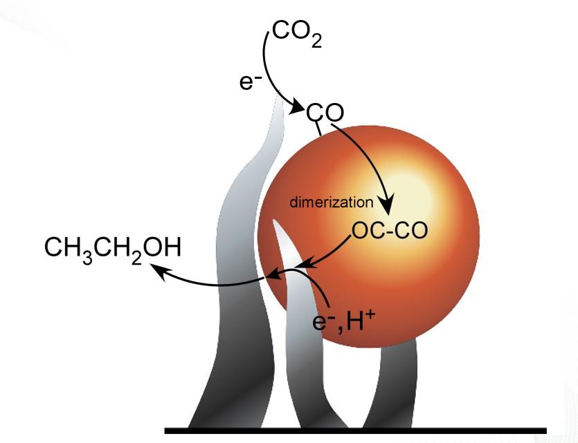 Waste-to-fuel nanospikes