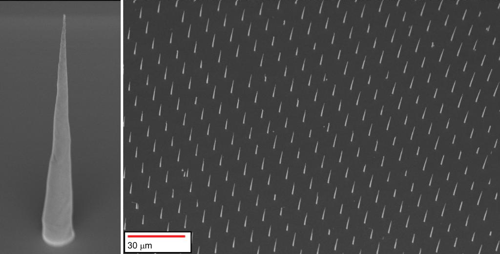 carbon fibers
