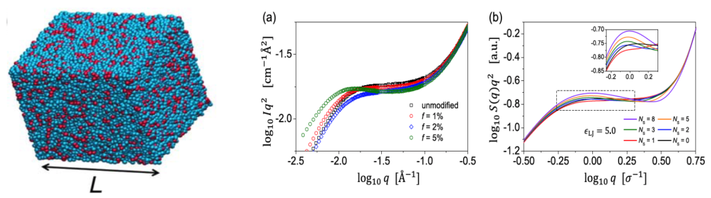 (Left) Snapshot of the molecular dynamics simulation box, with dimension L, and showing the associating beads (red) and the non-associating beads (blue). Kratky plots for (a) unmodified PB and PB-PTADs, based on the SANS measurements and (b) simulated associating polymer chains