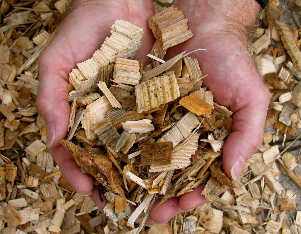 biofuel material