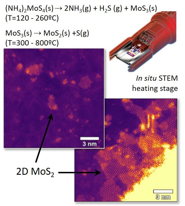 Atomistic origins of thermolysis-driven growth of 2D MoS2